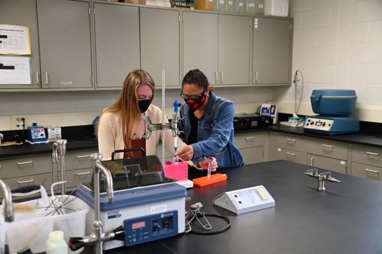 Mansfield professors involved in cutting edge research News, Sports